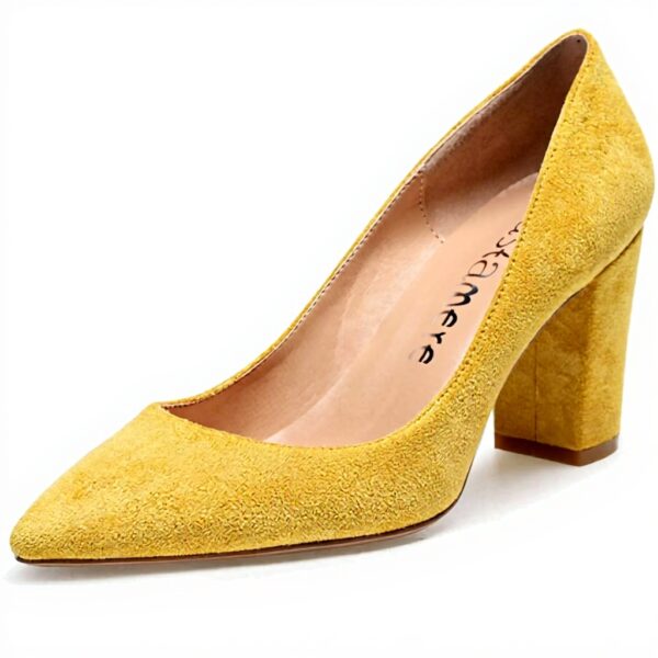 Castamere Escarpins Femme Bout Pointu Talon Bloc 8CM